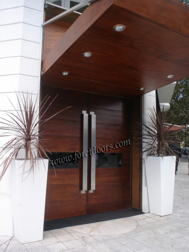 modern entry doors-M101