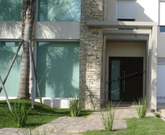 modern entry doors-M102